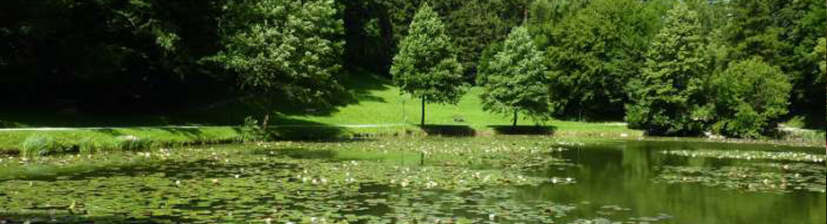 Egelsee
