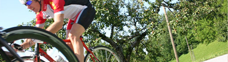 Biking tours