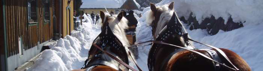 Sleigh rides